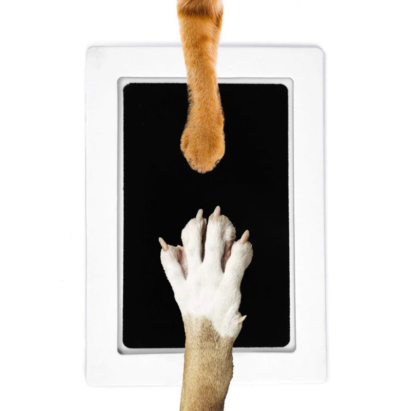 Kit tinta cetak kaki anjing ku - Footprint Ink Kit ulasan dan harga